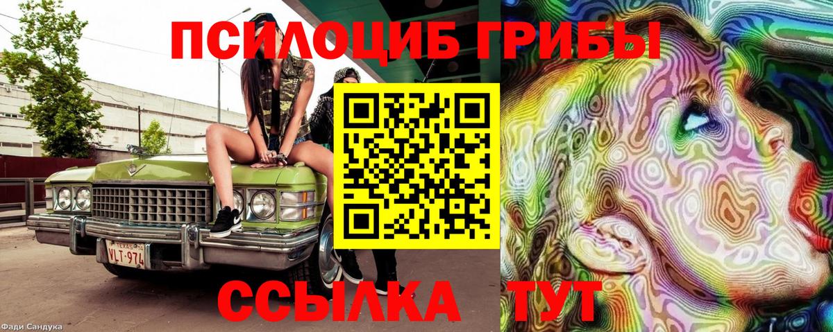 Свободный  Галлюциногенные грибы MAGIC MUSHROOMS  Вход с VPN 